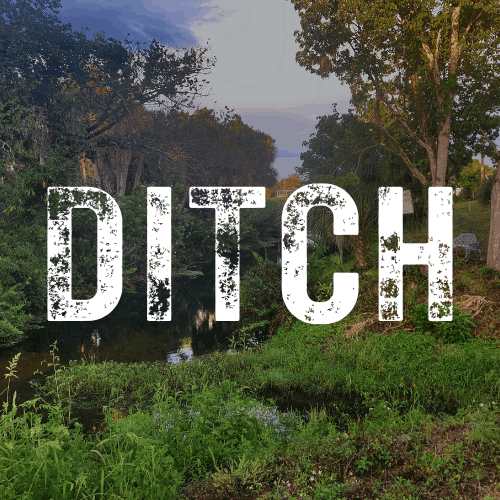 DITCH logo (word "DITCH" over very vegetated ditch in Sarasota County)