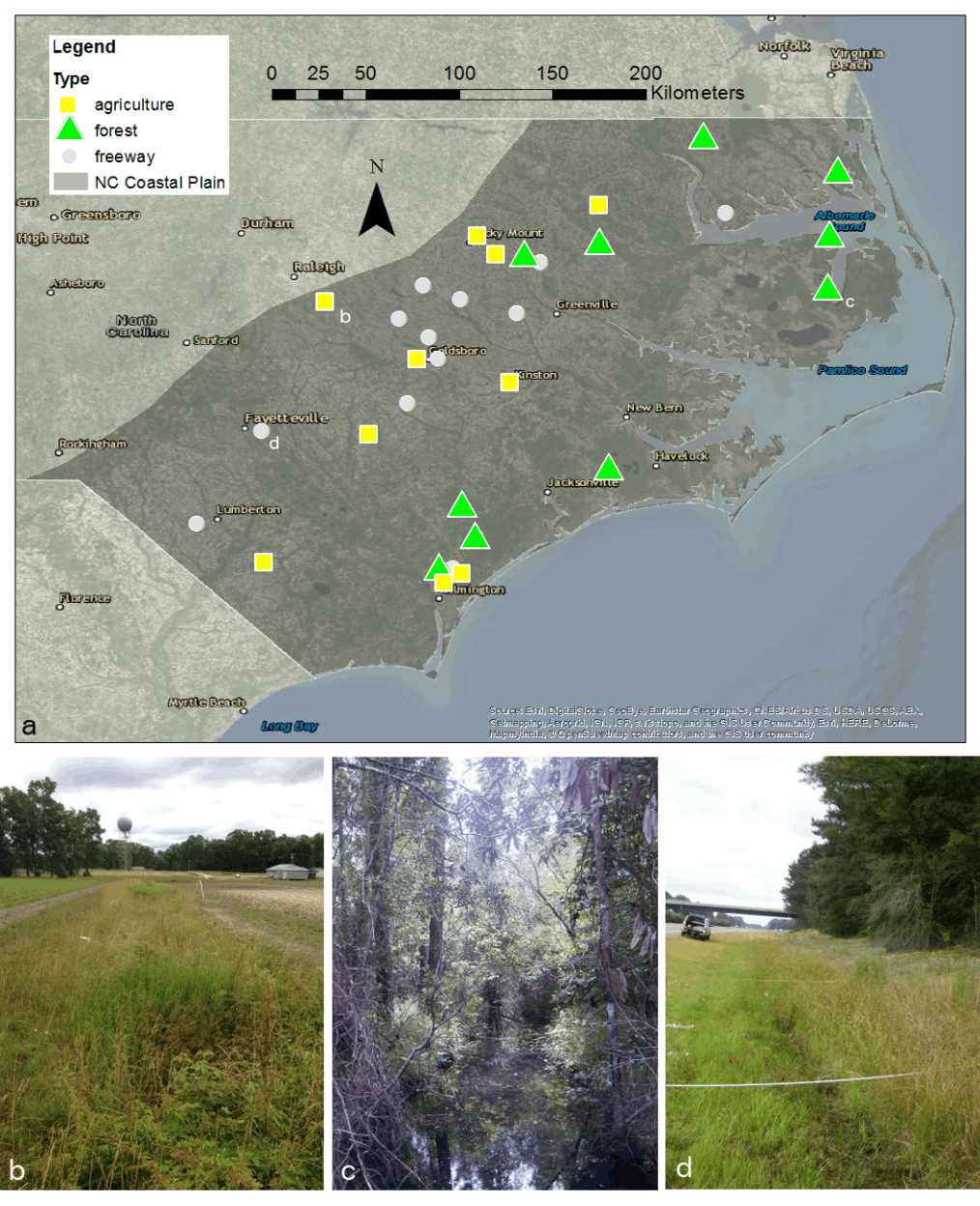 Map of 32 sites sampled in North Carolina Coastal Plain, with photographs of an agricultural, forested, and freeway ditch