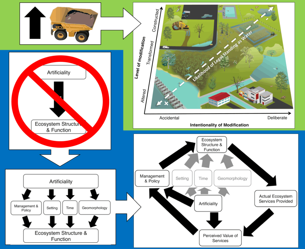 graphical abstract for "Artificial Aquatic Systems"