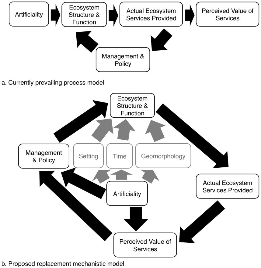 diagram suggesting human influence on ecoystems as more cyclical than linear